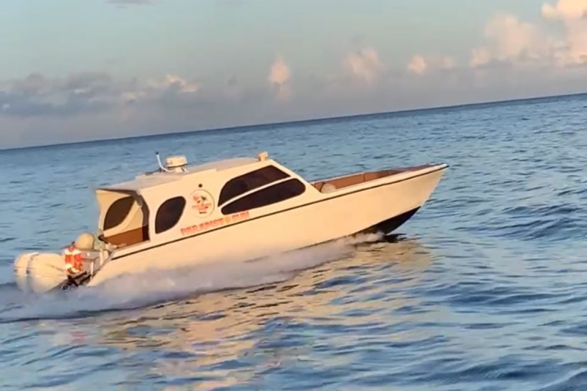 WhatsApp Image 2025-11-04 at 12.44.33 AM (1)