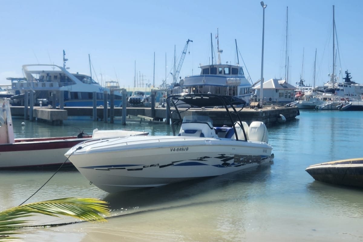 WhatsApp Image 2025-11-04 at 12.44.33 AM (2)