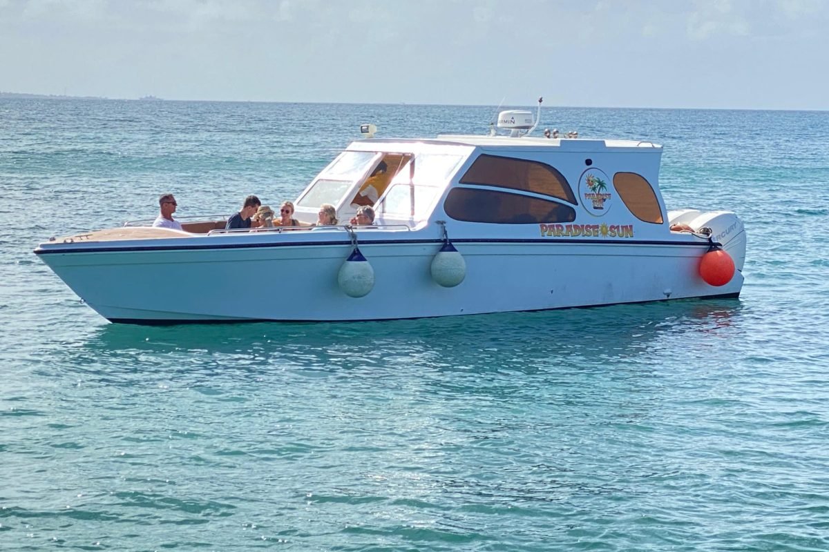 WhatsApp Image 2025-11-04 at 12.44.33 AM