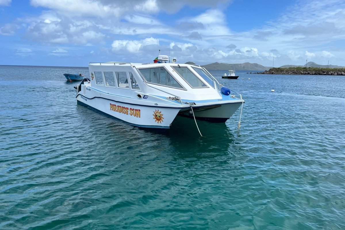 WhatsApp Image 2025-11-04 at 12.48.46 AM (1)